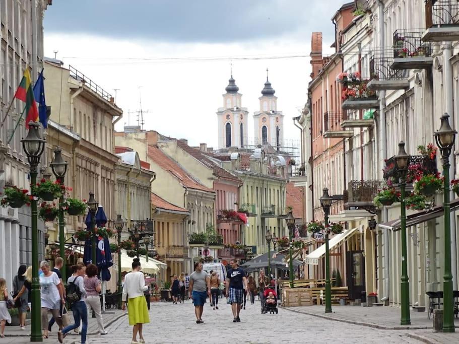 Modern Flat In Old Town Kaunas - Free Parking & Self Check-In Kültér fotó
