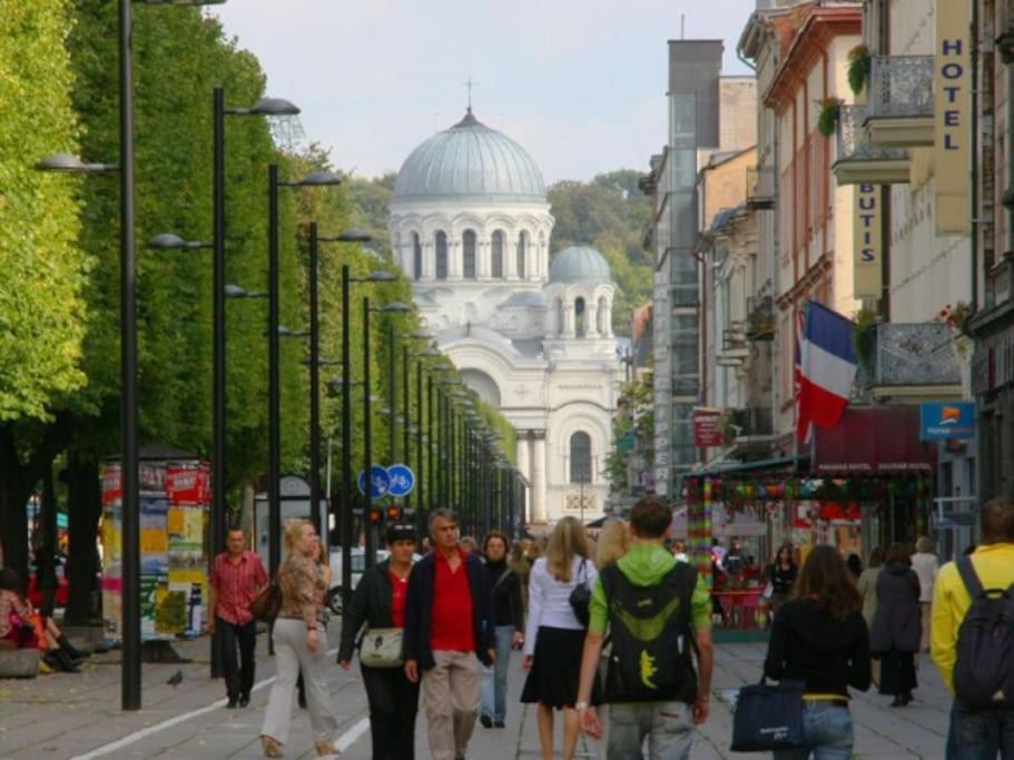 Modern Flat In Old Town Kaunas - Free Parking & Self Check-In Kültér fotó
